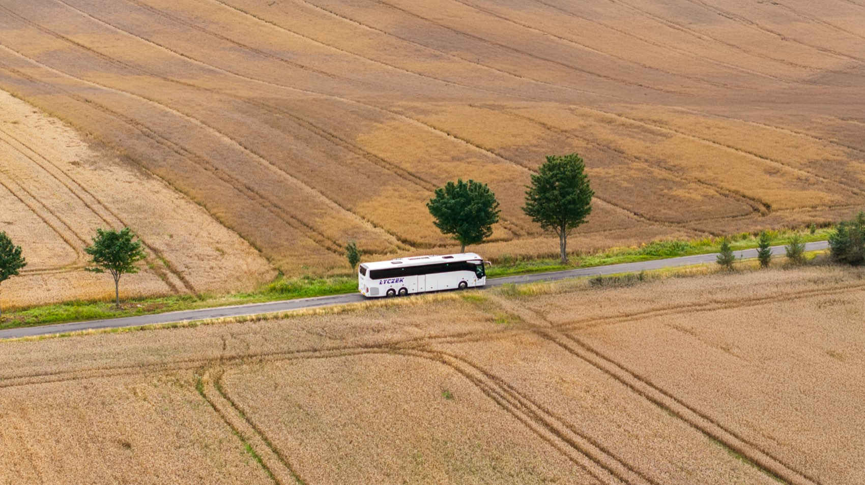 Autokary Lisich Wojaży z lotu ptaka
